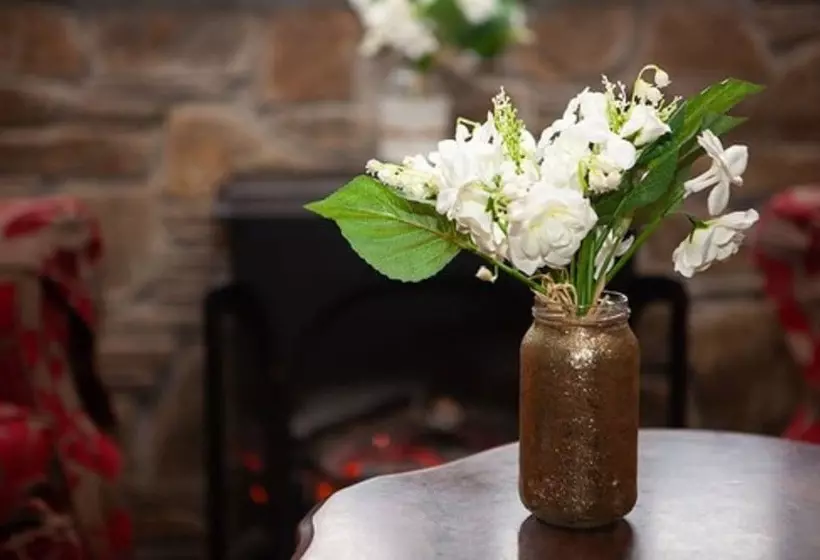 Hostelli The Seiners Arms