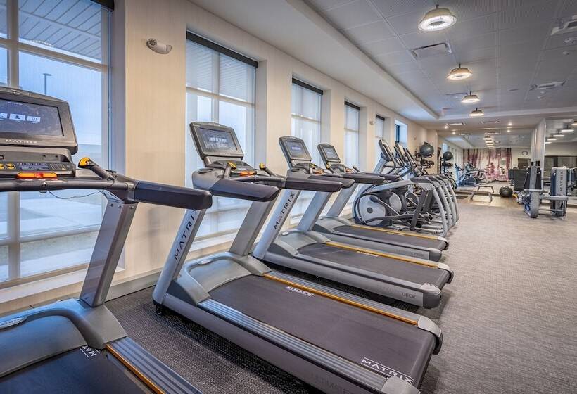 ホテル Courtyard By Marriott East Lansing Okemos