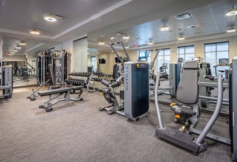 ホテル Courtyard By Marriott East Lansing Okemos