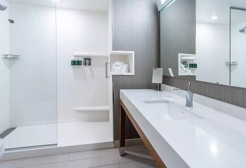 هتل Courtyard By Marriott East Lansing Okemos