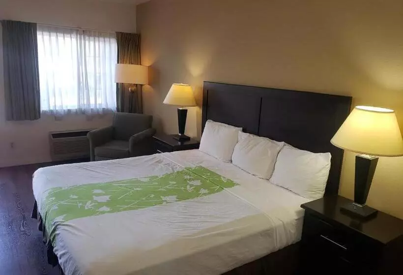 Hotelli Fidalgo Country Inn