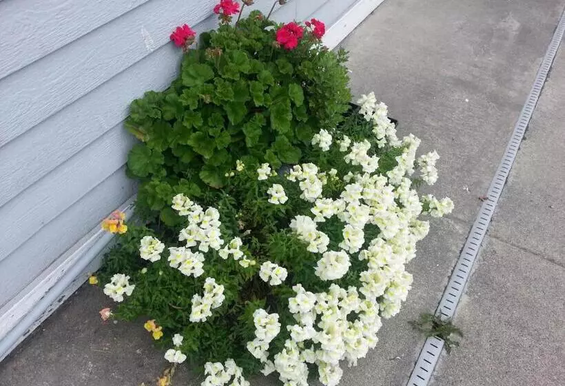 Hotelli Fidalgo Country Inn