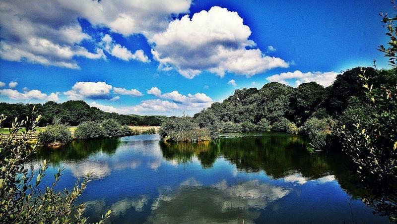 Отель Riverside Caravan & Camping Park