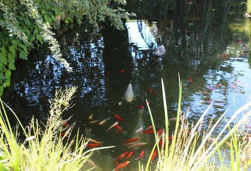 La Macarena Carcassonne B&b