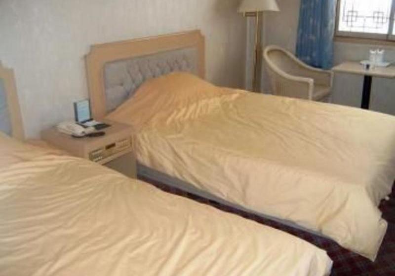 Отель City Palace