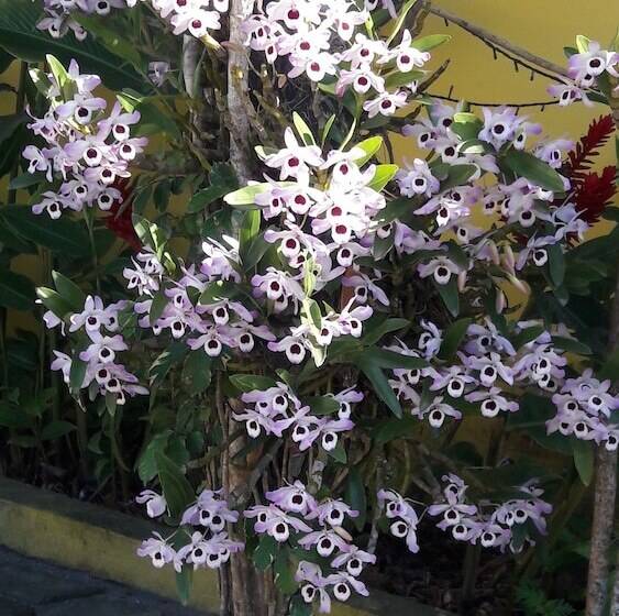 هتل Pousada Sol E Mar