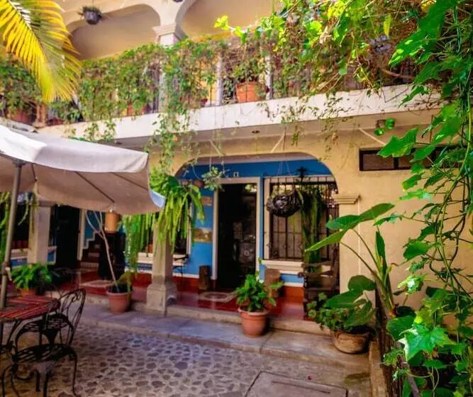 تختخواب و صبحانه Posada Maya