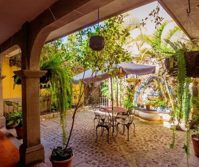 تختخواب و صبحانه Posada Maya