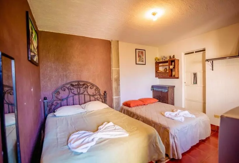 تختخواب و صبحانه Posada Maya