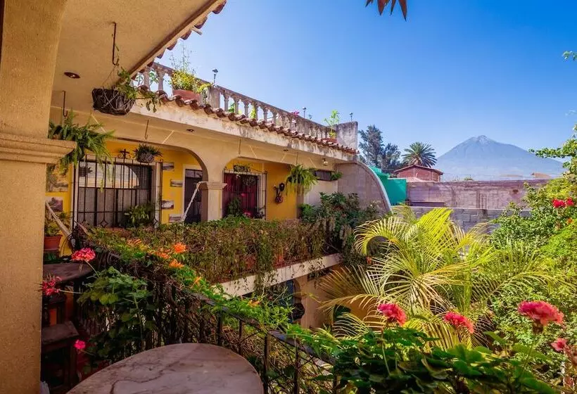 تختخواب و صبحانه Posada Maya