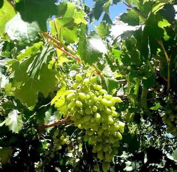 호텔 Paraíso Del Sol