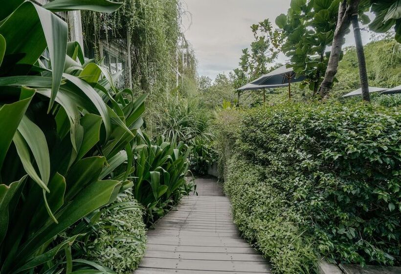 酒店 Rimbun Canggu