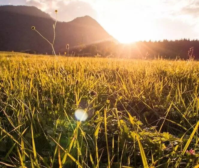 Hotelli Zeitfrei Chalet Apartments