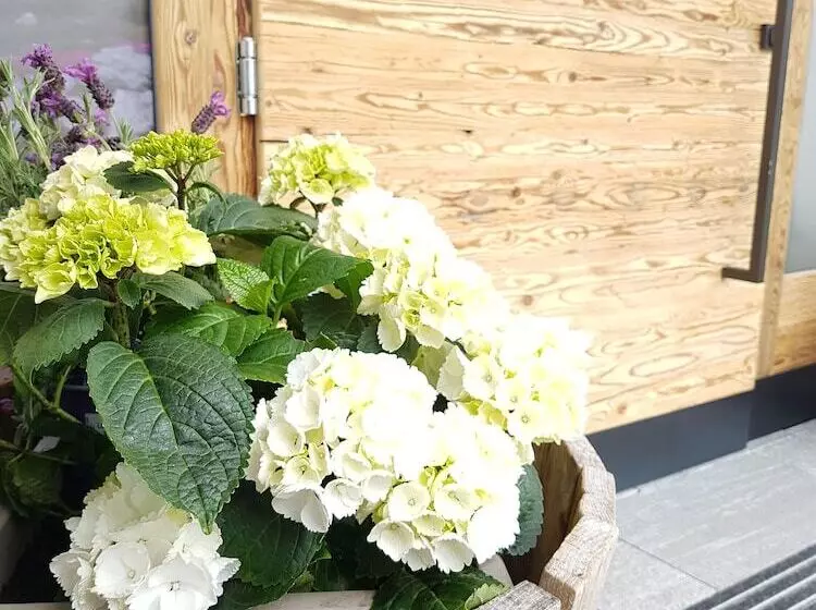 Hotelli Zeitfrei Chalet Apartments