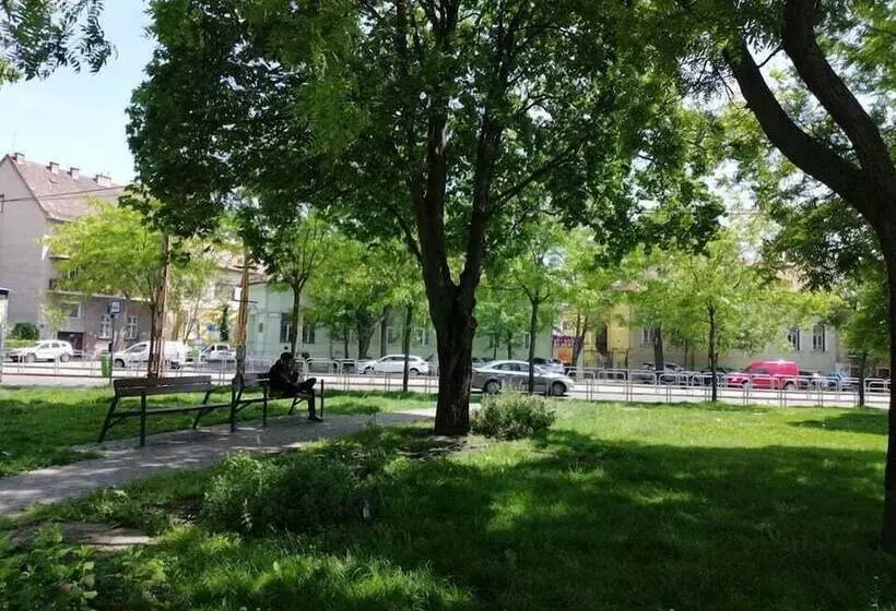 پانسیون Guest House Orczy Park