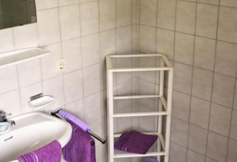 膳宿费 Haus Brigitte