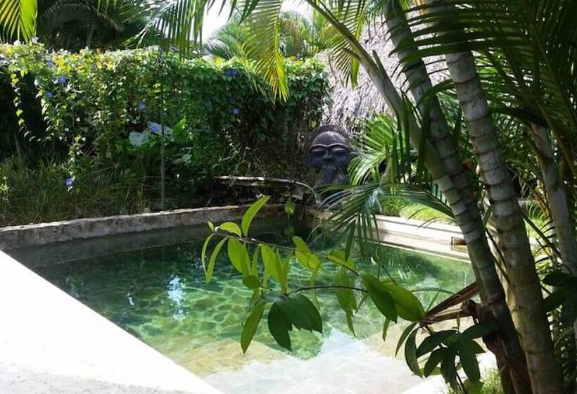 تختخواب و صبحانه Casa Picaflor