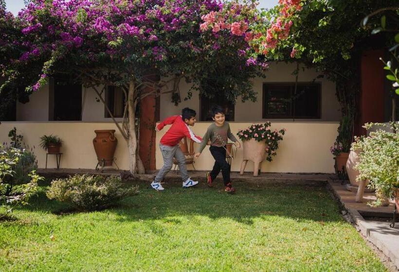 فندق فئة نجمة واحدة El Hospedaje