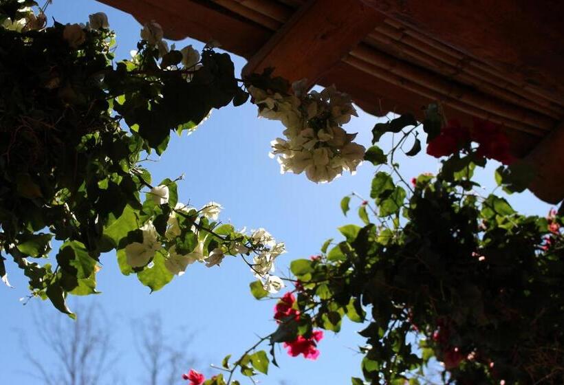 فندق فئة نجمة واحدة El Hospedaje