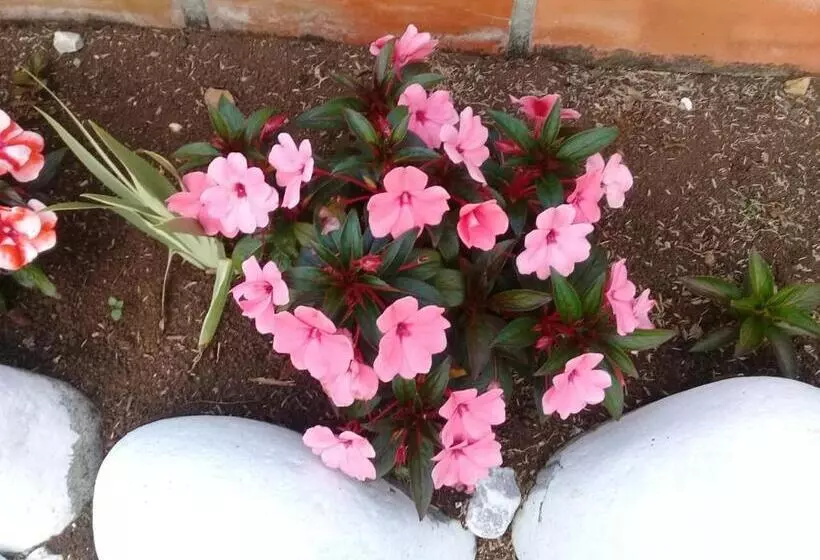 Hotelli Arqueológico San Agustín