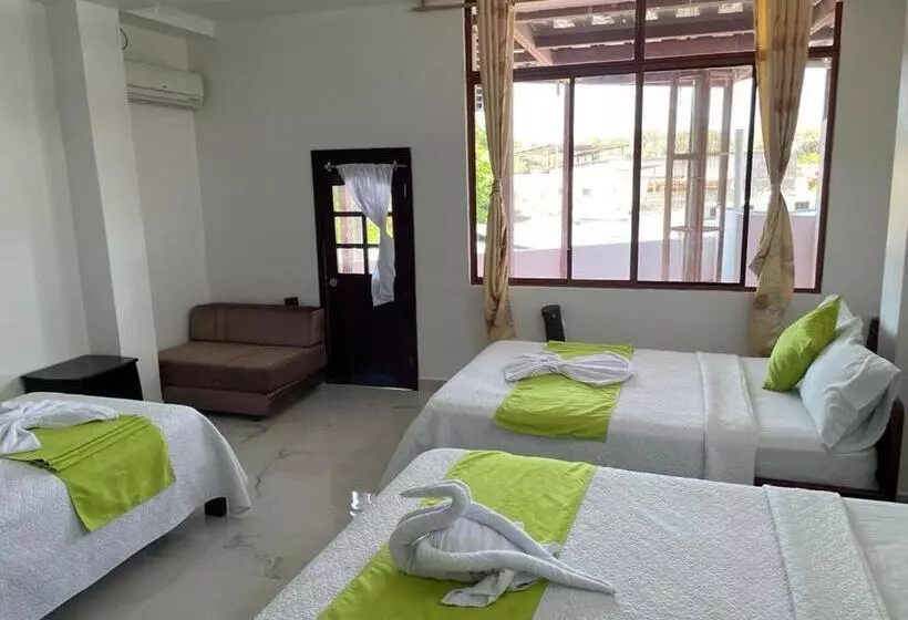ホテル Hostal Carliza