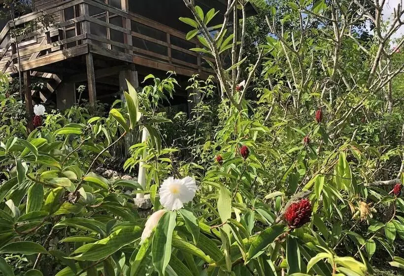 Santa Cruz Cabins