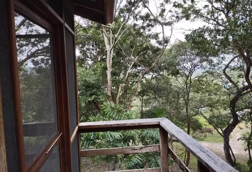 Santa Cruz Cabins