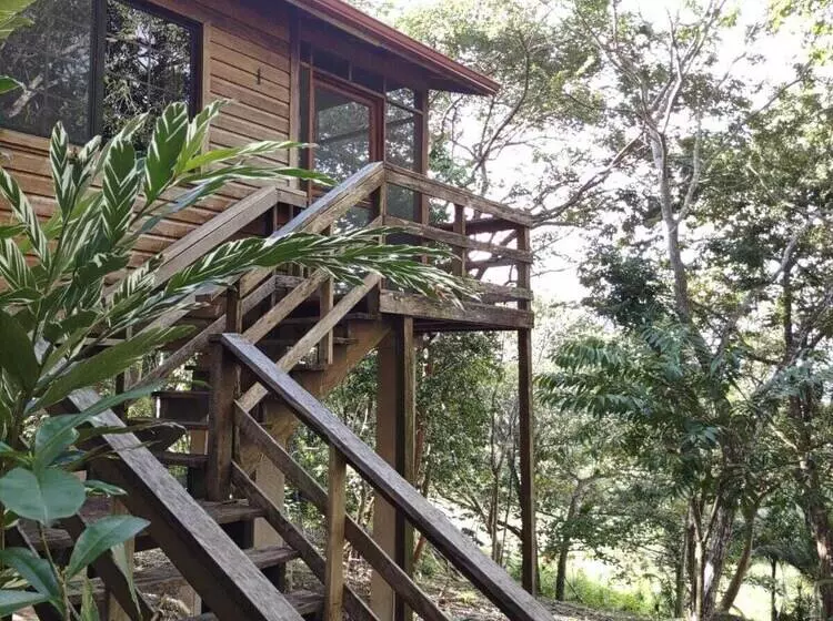 Santa Cruz Cabins