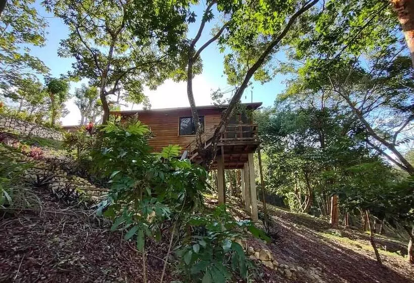 Santa Cruz Cabins