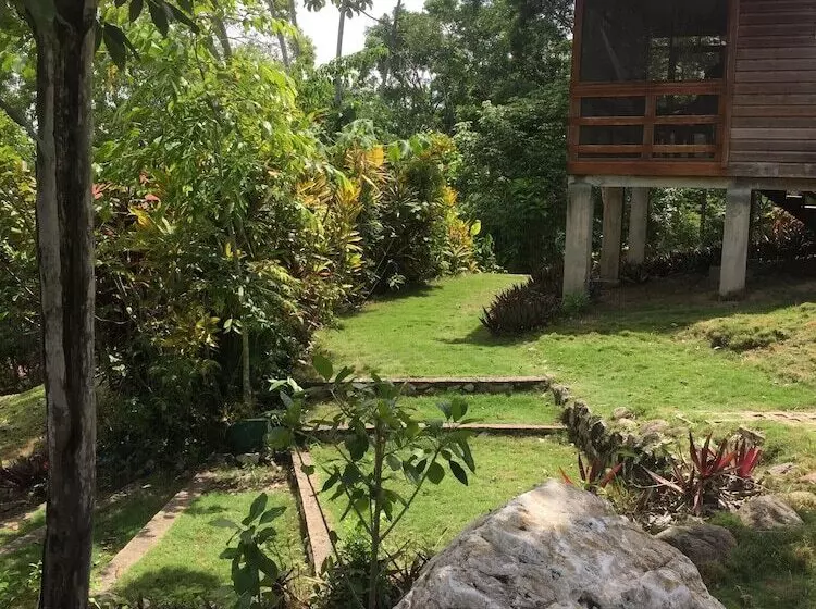 Santa Cruz Cabins