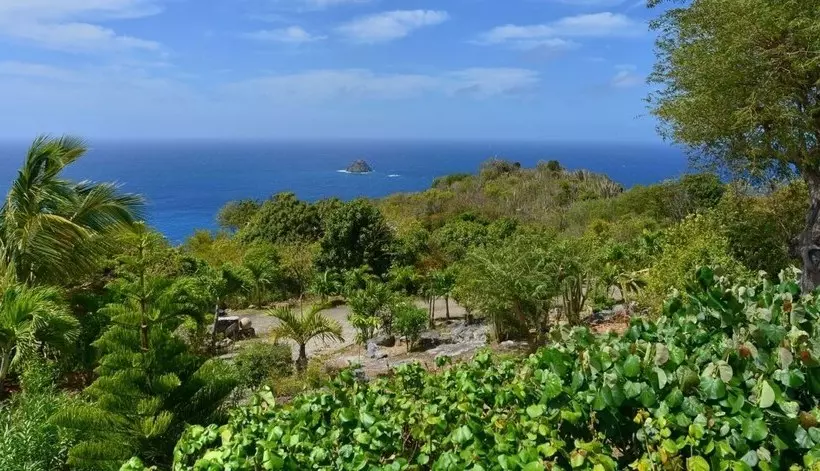 Villa Taniko