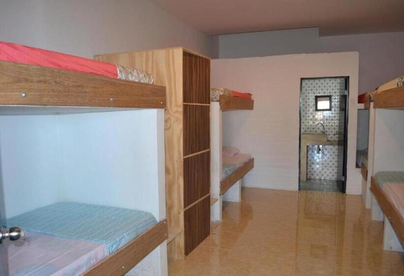 هاستل Tnt Mirador