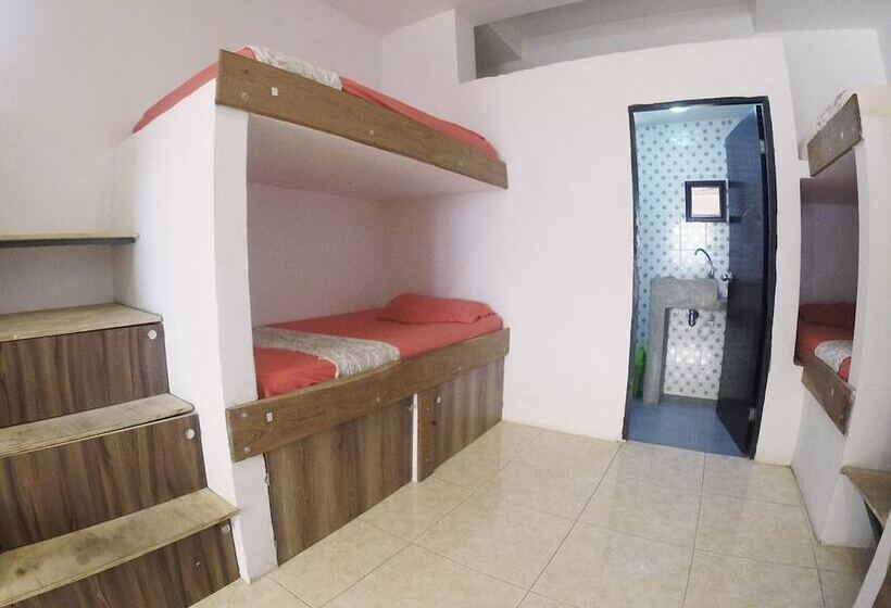 هاستل Tnt Mirador