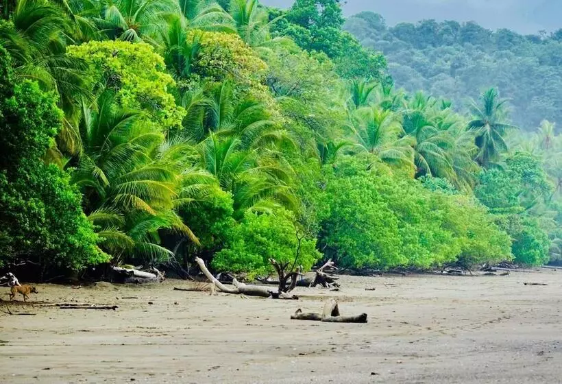 Hotelli Cabinas D’val