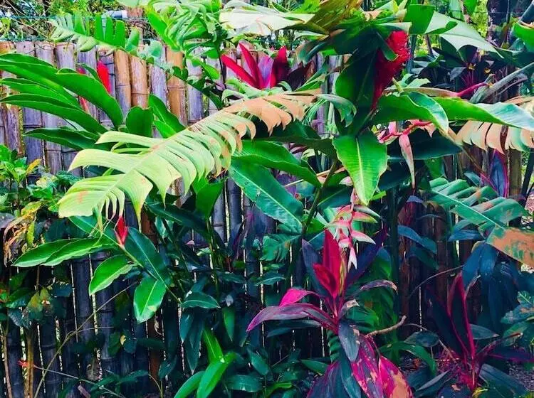 Hotelli Cabinas D’val