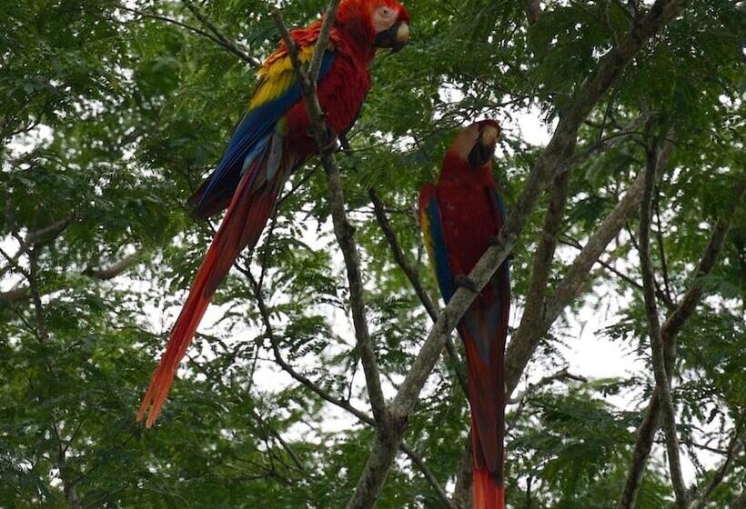 בית מלון כפרי Cabinas D’val