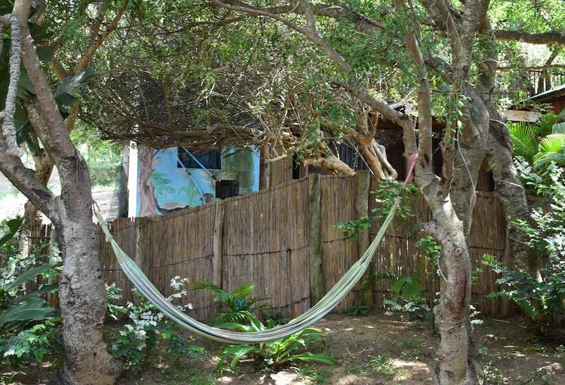 酒店 Gamboozini Lodge