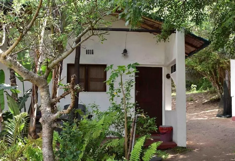 Hotelli Gamboozini Lodge