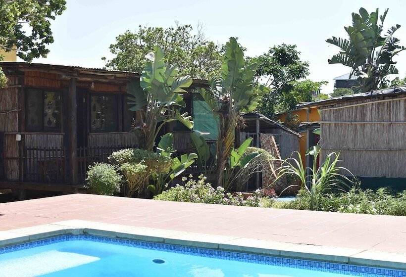 酒店 Gamboozini Lodge