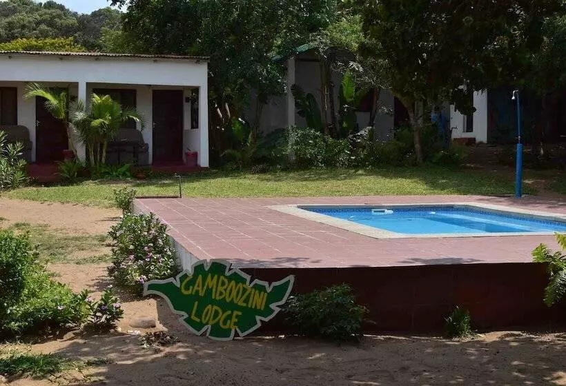 Hotelli Gamboozini Lodge