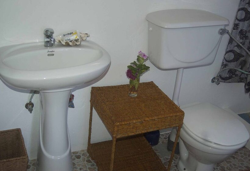 酒店 Gamboozini Lodge