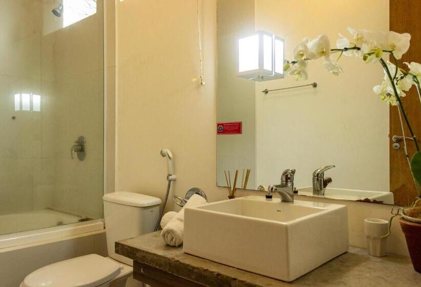 בית מלון כפרי Pousada Ponta Da Vigia