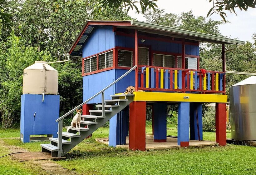 هاستل Lower Dover Jungle Lodge & Maya Ruins