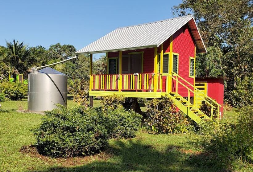 هاستل Lower Dover Jungle Lodge & Maya Ruins