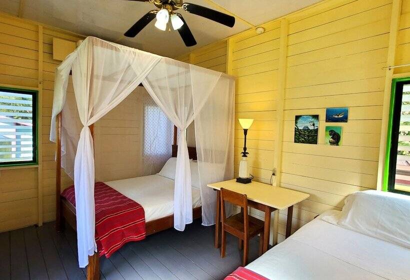 هاستل Lower Dover Jungle Lodge & Maya Ruins