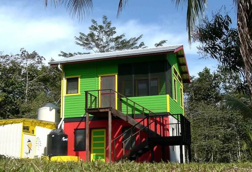 هاستل Lower Dover Jungle Lodge & Maya Ruins