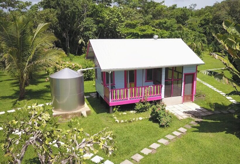 هاستل Lower Dover Jungle Lodge & Maya Ruins