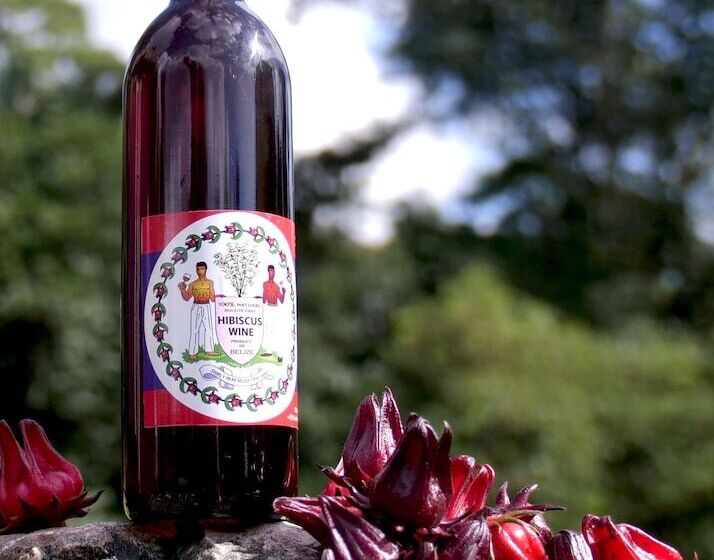 هاستل Lower Dover Jungle Lodge & Maya Ruins