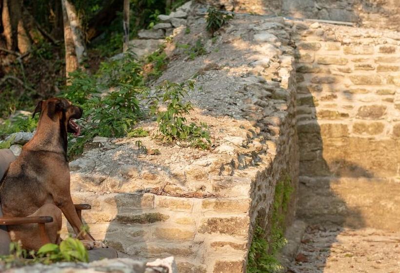 هاستل Lower Dover Jungle Lodge & Maya Ruins