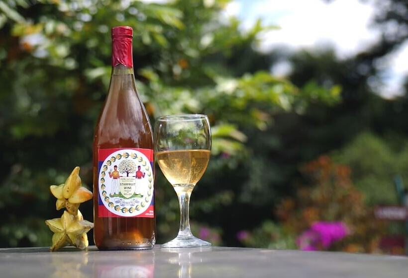 هاستل Lower Dover Jungle Lodge & Maya Ruins